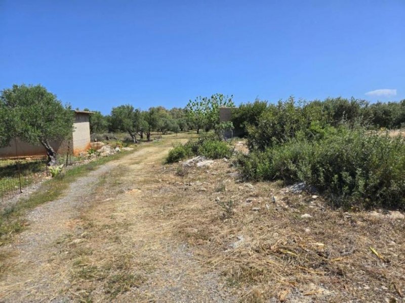 Latsima Kreta, Latsima: Großes bebaubares Grundstück zum Verkauf Grundstück kaufen